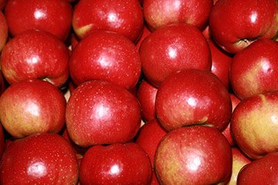 JANFRUIT: Production and distribution of fruit vegetables, apple producer - Poland